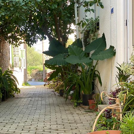פמגוסטה Grandmother'S House מראה חיצוני תמונה
