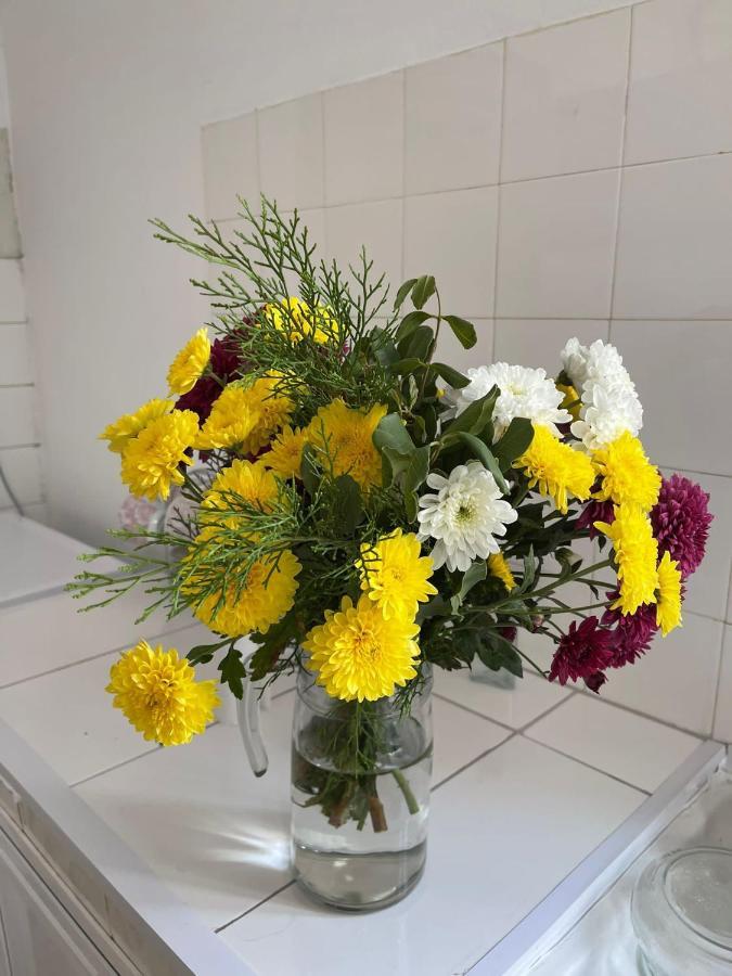 פמגוסטה Grandmother'S House מראה חיצוני תמונה