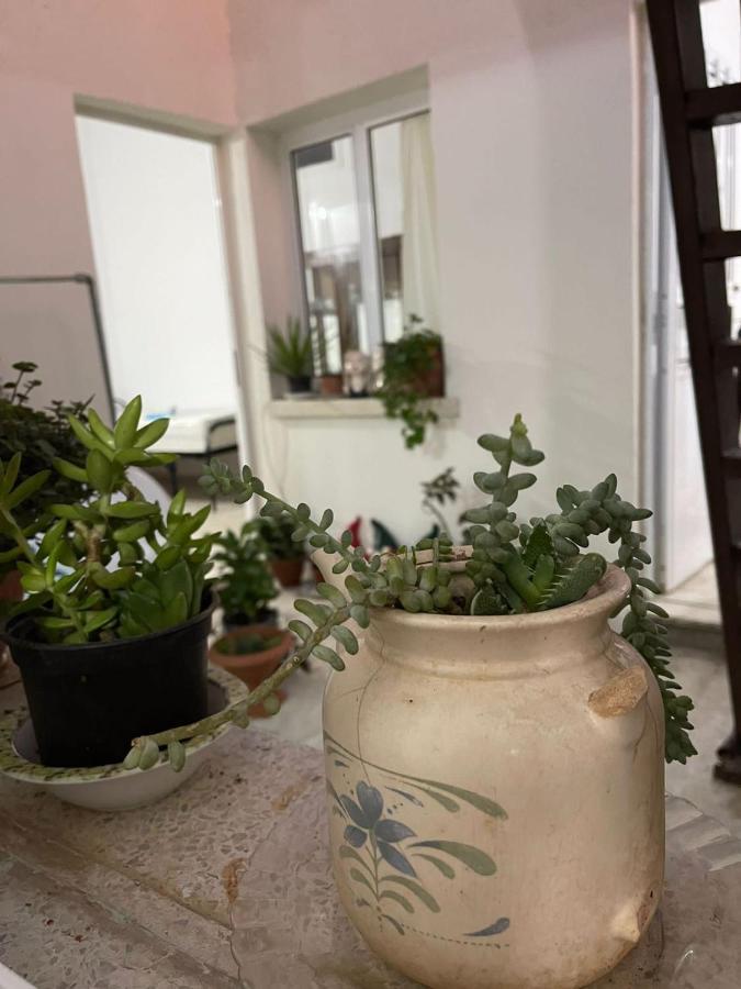 פמגוסטה Grandmother'S House מראה חיצוני תמונה