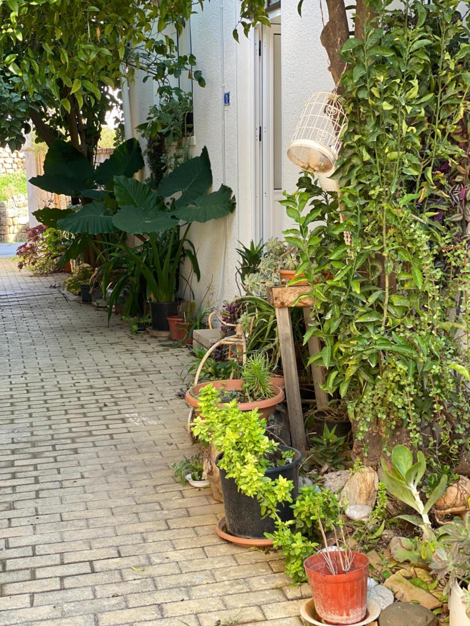 פמגוסטה Grandmother'S House מראה חיצוני תמונה