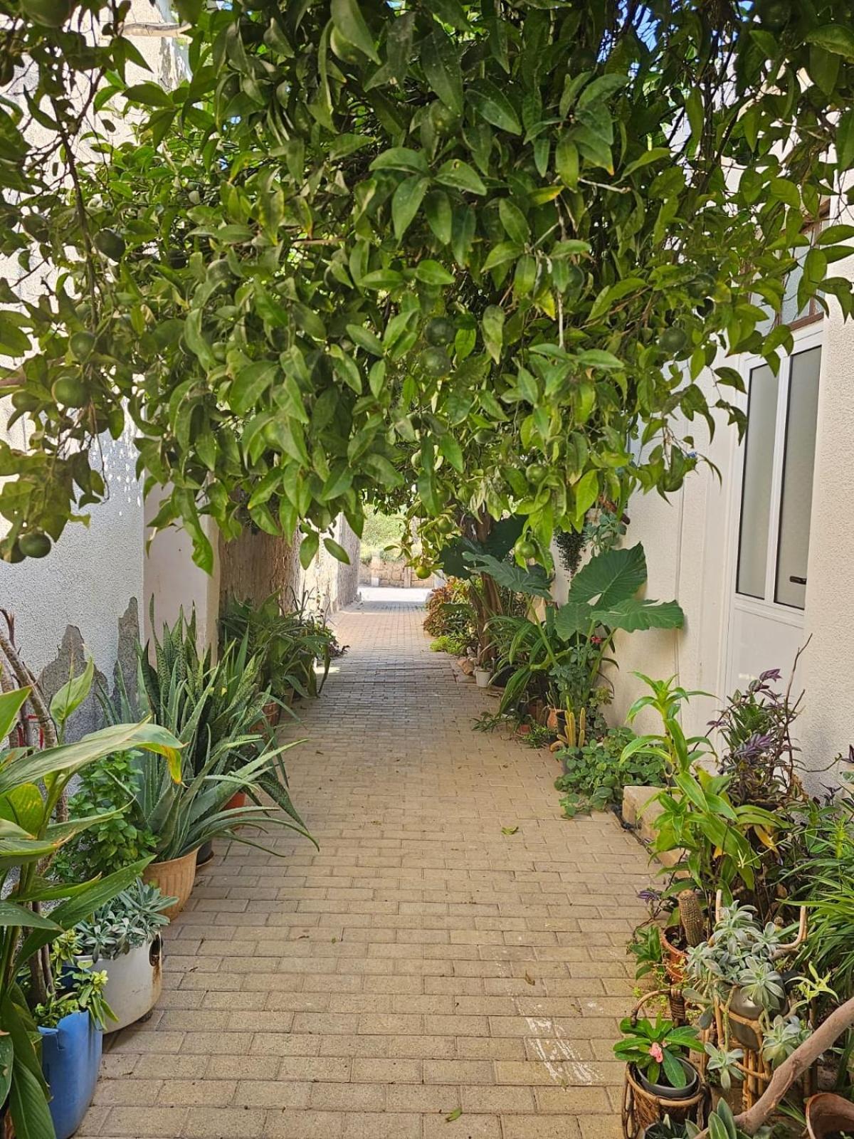 פמגוסטה Grandmother'S House מראה חיצוני תמונה