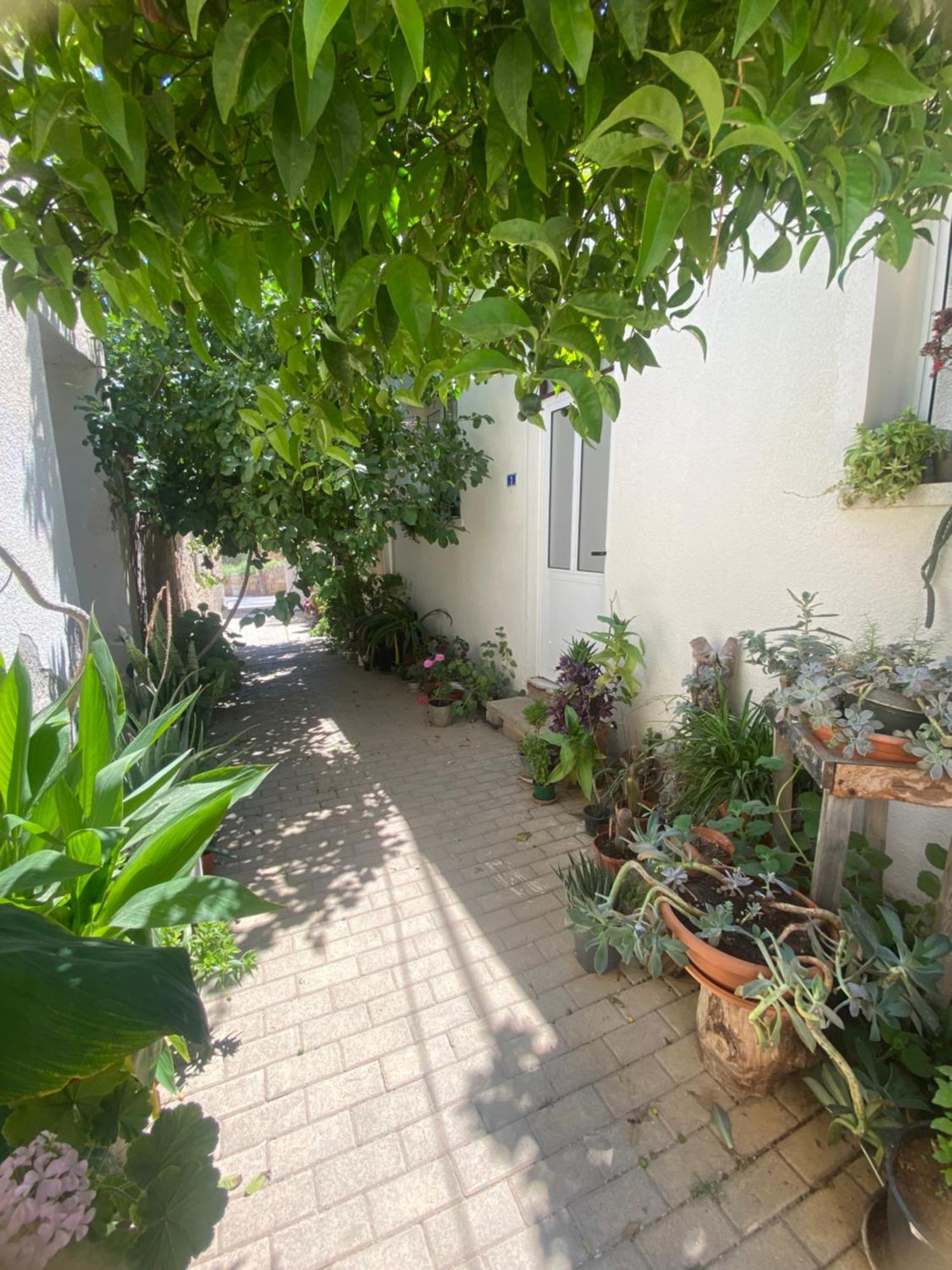 פמגוסטה Grandmother'S House מראה חיצוני תמונה