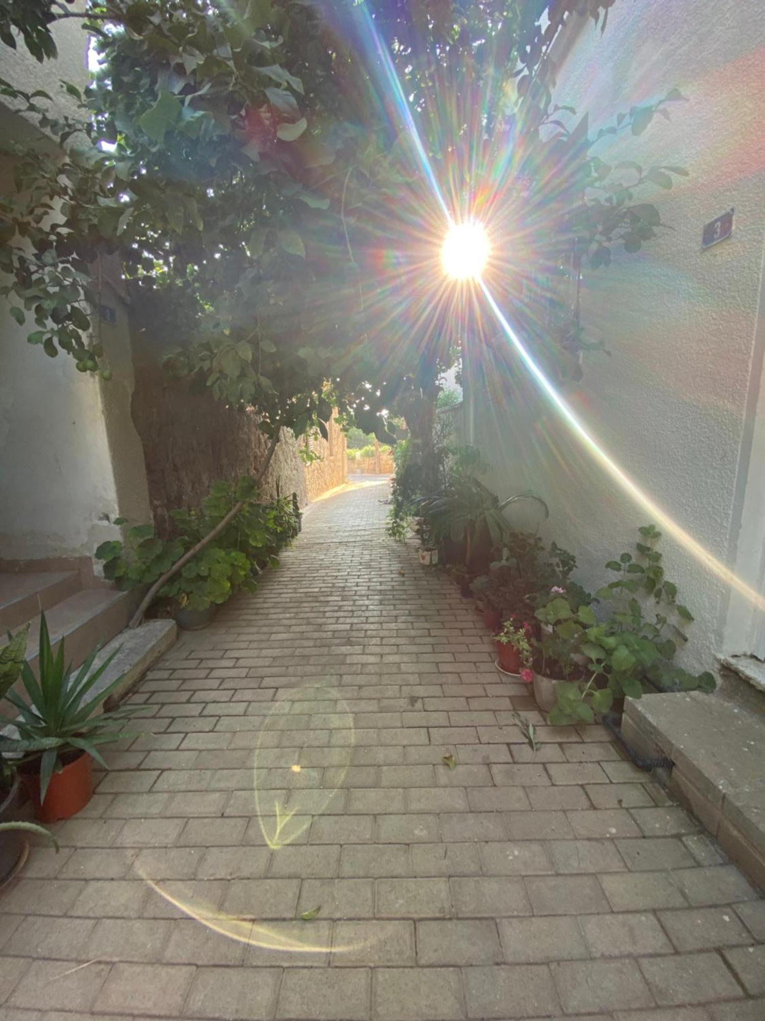 פמגוסטה Grandmother'S House מראה חיצוני תמונה