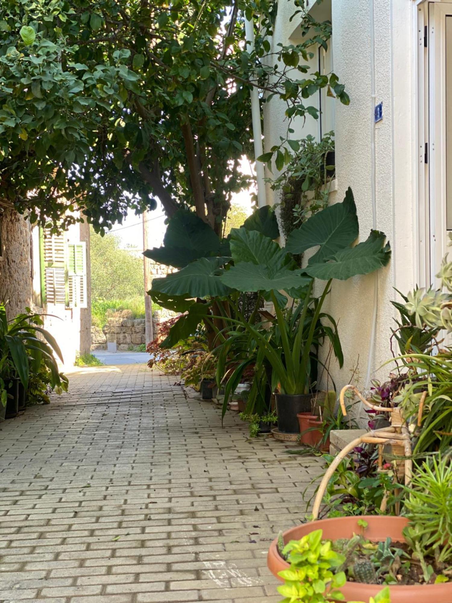 פמגוסטה Grandmother'S House מראה חיצוני תמונה